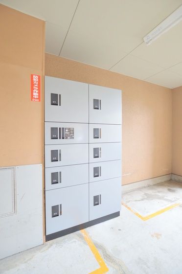 ��z�{�b�N�X