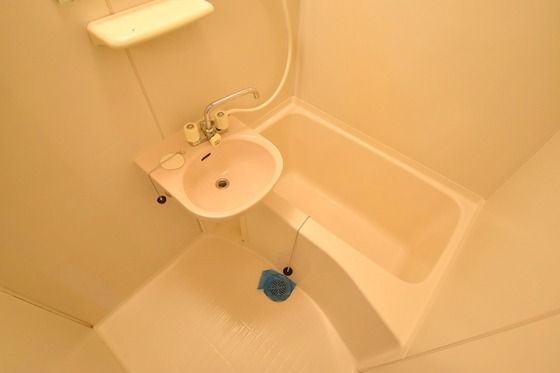 �y�o�X�z�@