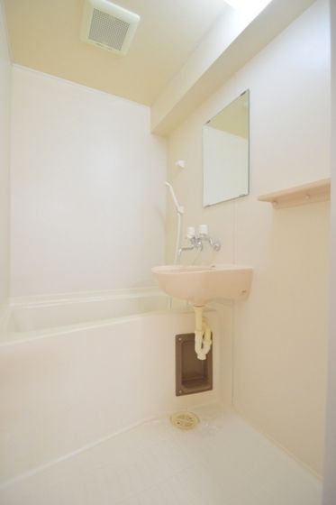 �y�o�X�z�@�I�X�X���o�X�E�g�C���ʁ�