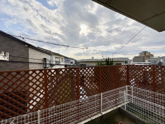 �y���]�z�@