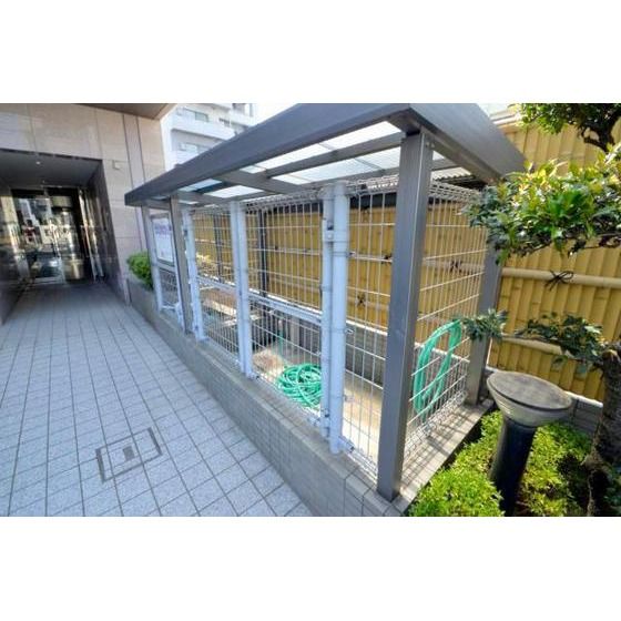 �S�~�u����