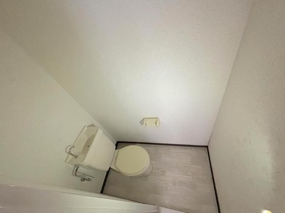 �y�g�C���z�@