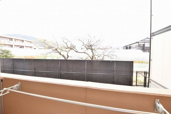 �y���]�z�@