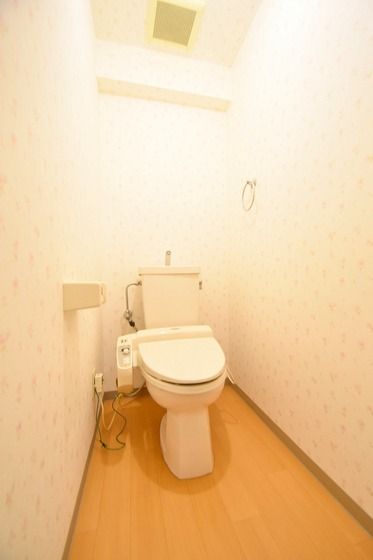 �y�g�C���z�@