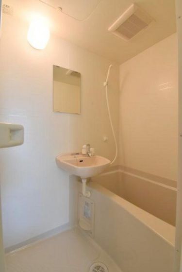 �y�o�X�z�@