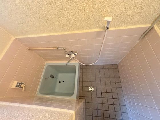 �y�o�X�z�@