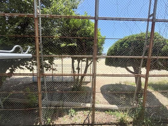 �y���]�z�@