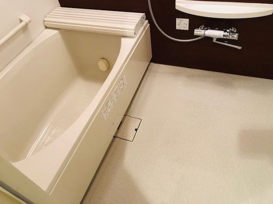 �y�o�X�z�@