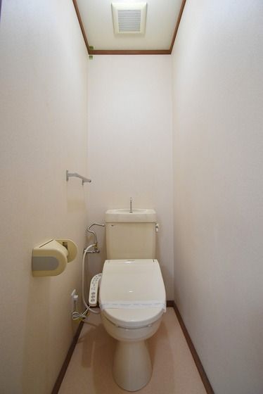 �y�g�C���z�@