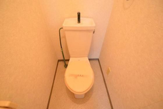 �y�g�C���z�@