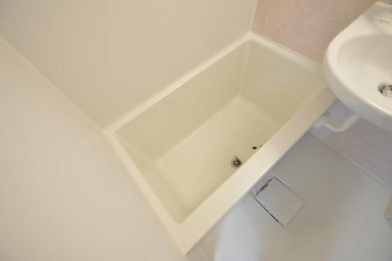 �y�o�X�z�@