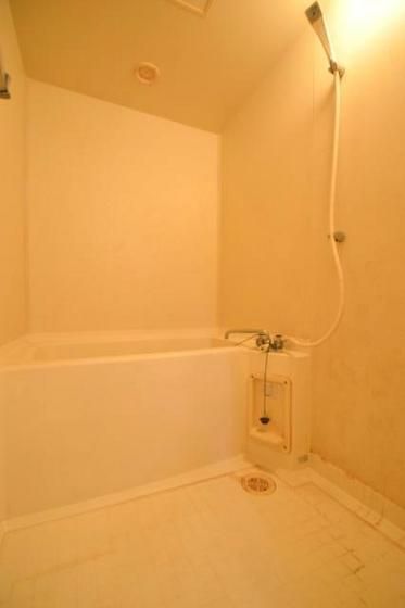 �y�o�X�z�@