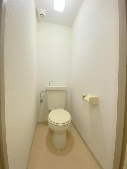 �y�g�C���z�@