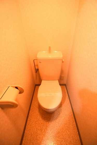 �y�g�C���z�@