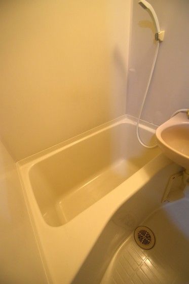 �y�o�X�z�@