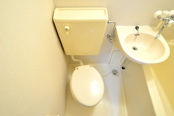 �y�g�C���z�@