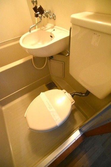 �y�g�C���z�@