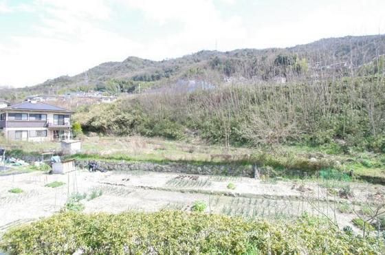 �y���]�z�@