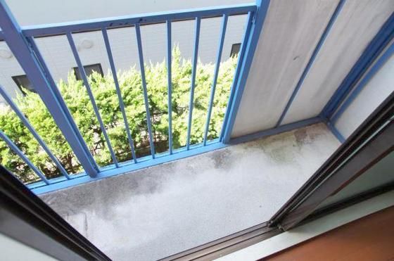 �y�o���R�j�[�z�@