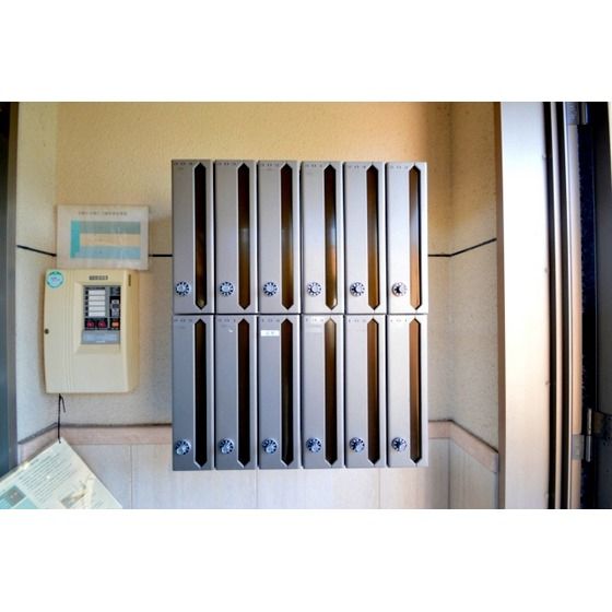 �W���|�X�g