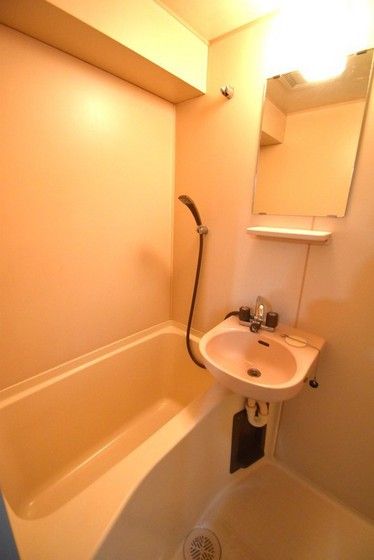 �y�o�X�z�@