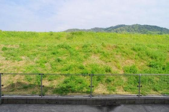 �y���]�z�@