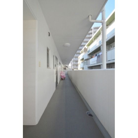 ���p�L�������邢�ł�