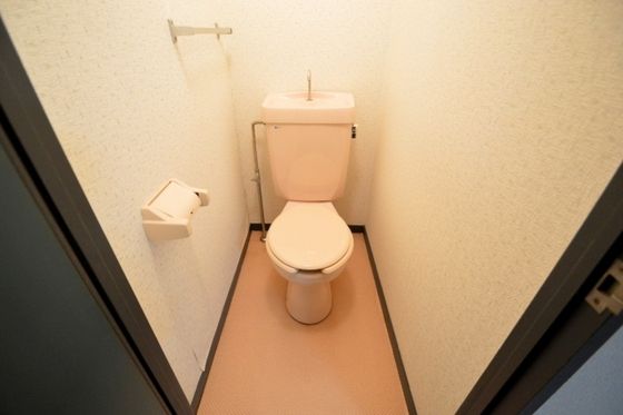 �y�g�C���z�@