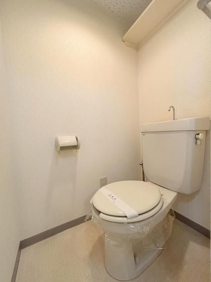 �y�g�C���z�@