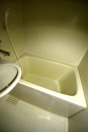 �y�o�X�z�@