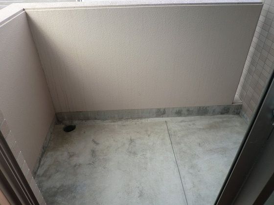 �y�o���R�j�[�z�@