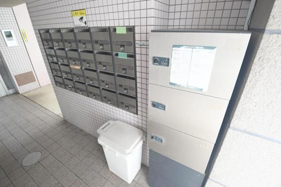 ��z�{�b�N�X