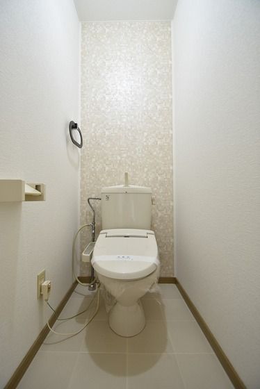 �y�g�C���z�@