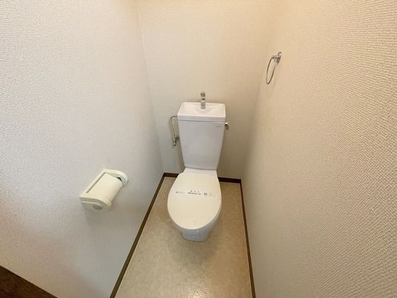 �y�g�C���z�@