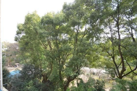 �y���]�z�@�k�i���ڂ̑O