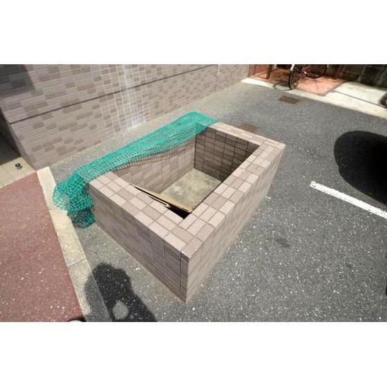 �S�~�u����