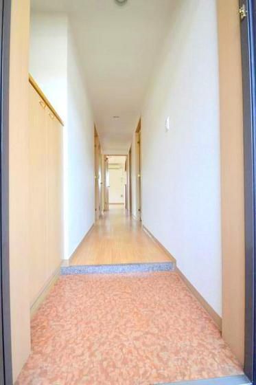 �y���̑��z�@