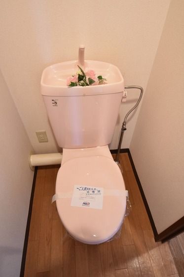 �y�g�C���z�@
