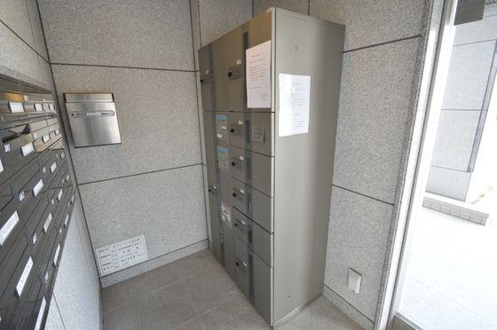 ��z�{�b�N�X