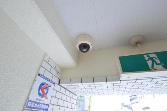 �h�ƃJ����