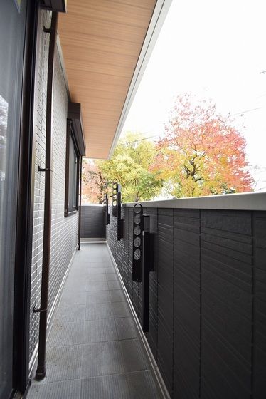 �y�o���R�j�[�z�@