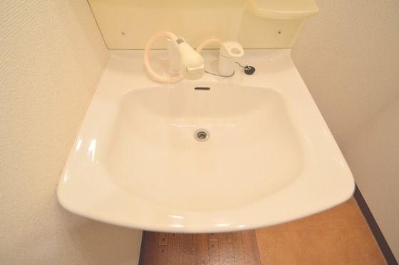 �y���ʏ��z�@�V�����v�[�h���b�T�[�t�̓Ɨ����ʑ�