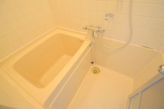 �y�o�X�z�@�����C��