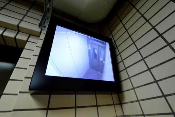 �h�ƃJ����