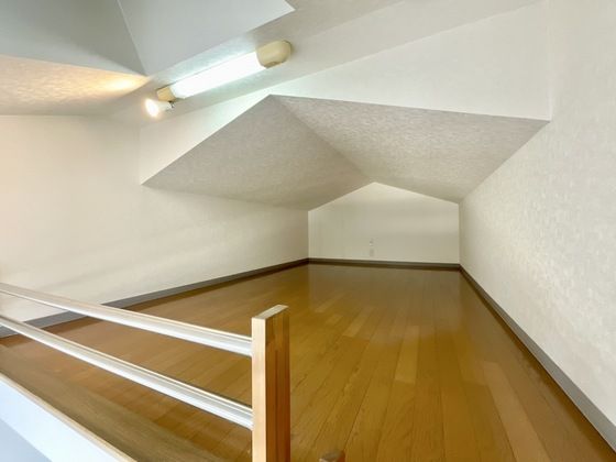 �y���̑��z�@���t�g�X�y�[�X�����邭�L�X