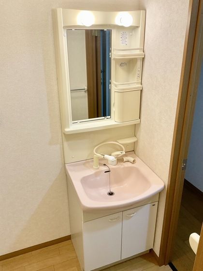 �y���̑��z�@�V�����v�[�h���b�T�[�t�����ʑ�