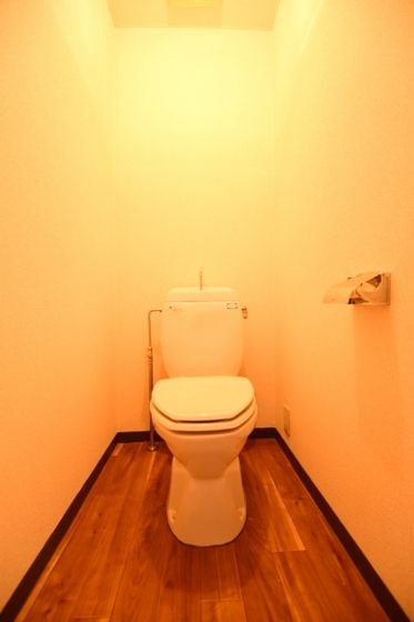 �y�g�C���z�@