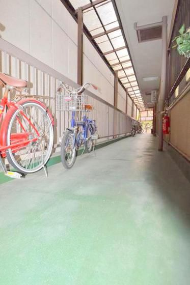 ���p�L��