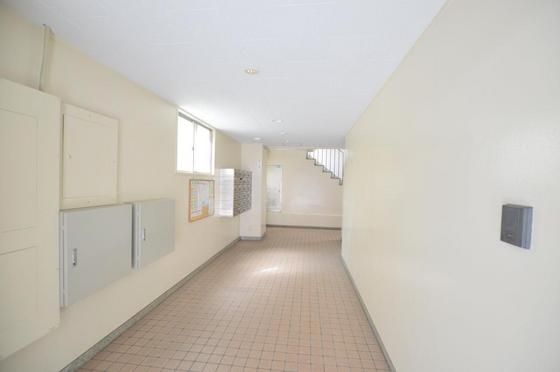 �_�C�������W���|�X�g