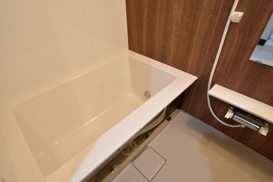 �y�o�X�z�@